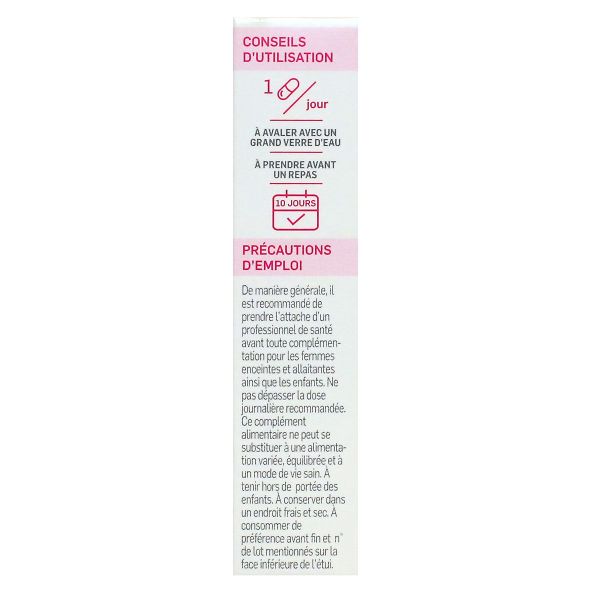 Lactibiane Référence 10 gélules